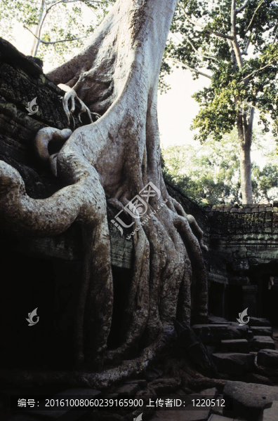 遺址-柬埔寨