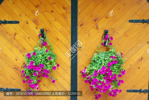 門花