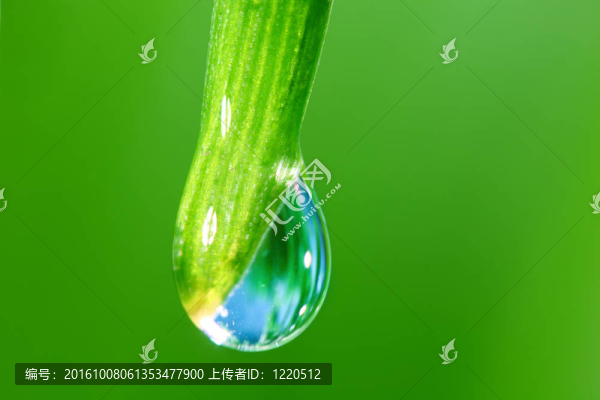 大水滴