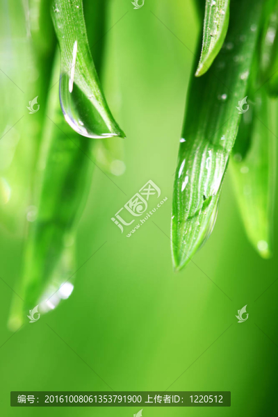大水滴