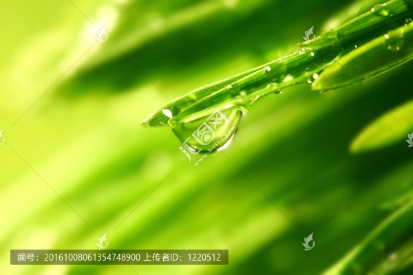大水滴