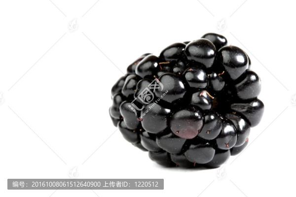 黑莓