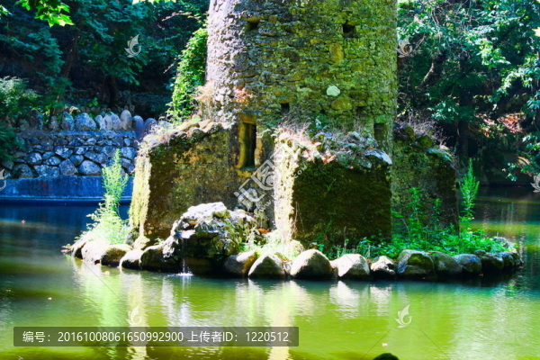 在林河