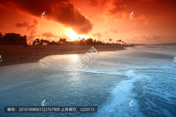 海洋太陽星