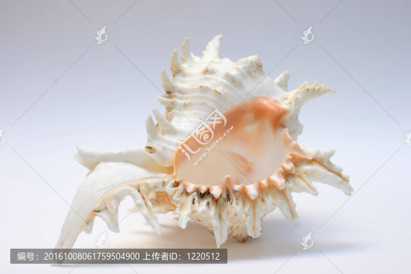 輕舟