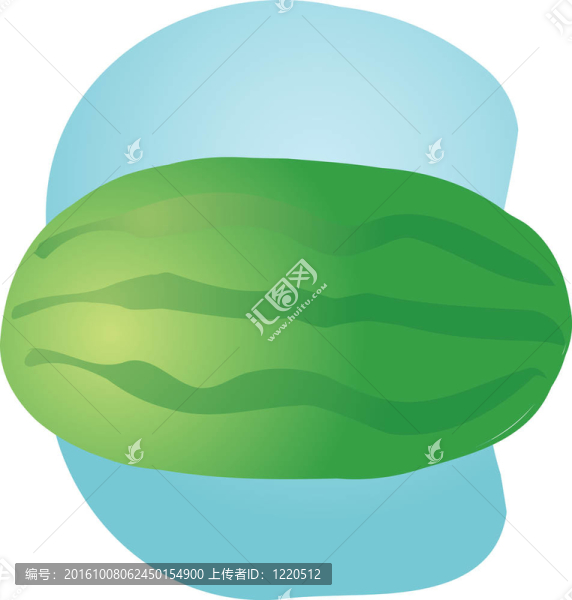 西瓜果實的插圖