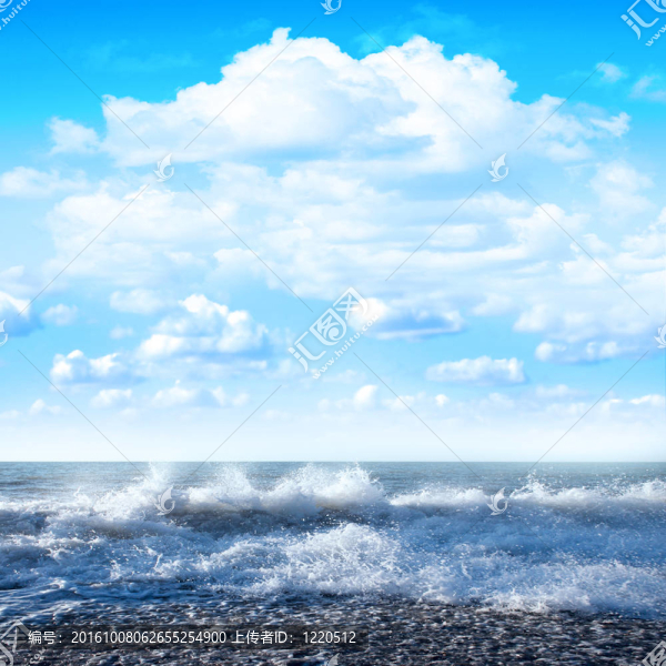 海