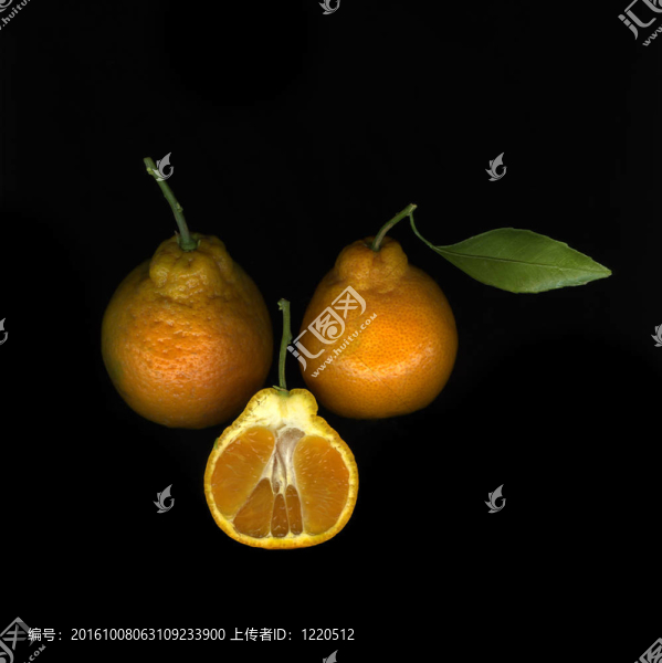 橘柚