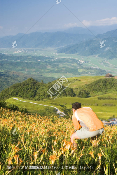 在百合農(nóng)場(chǎng)的攝影師