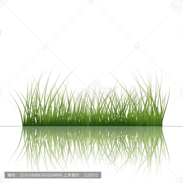 草水