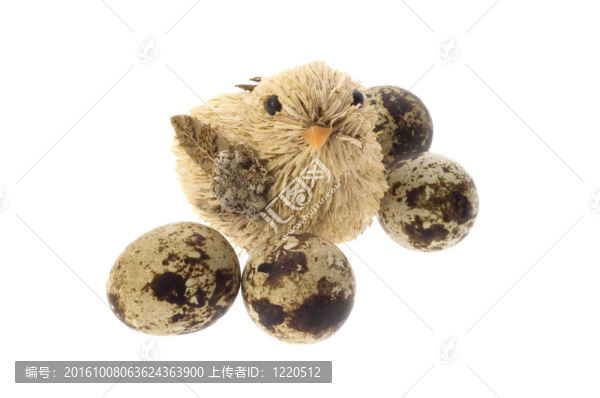 快樂(lè)復(fù)活節(jié)賀卡-鳥(niǎo)類和雞蛋孤立在白色B