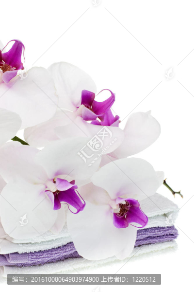 毛巾上的白蘭花