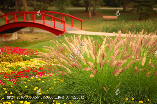 美麗的花園