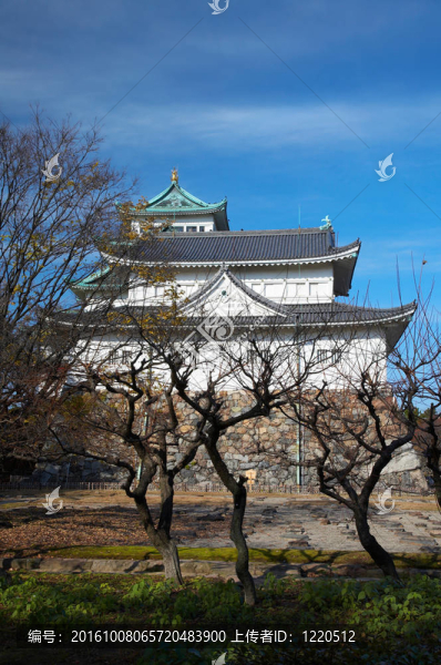 名古屋城