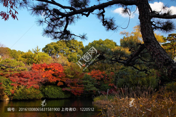東方園林