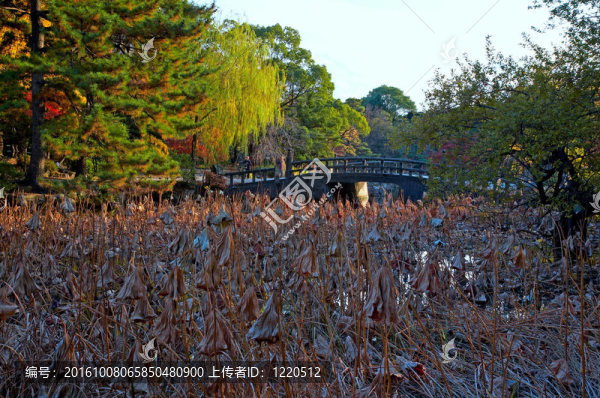 東方lgarden
