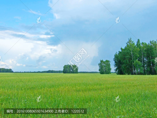 下雨天