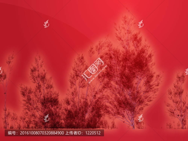 白樺樹的插圖