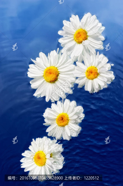 花和水