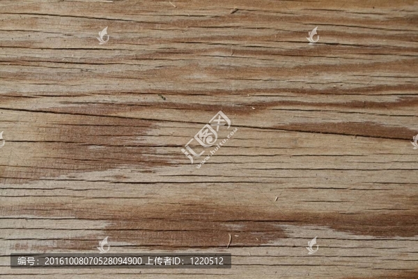 濕木頭