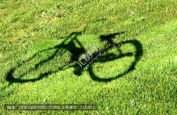 自行車在草地上的反射