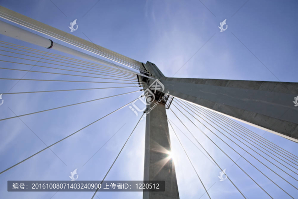 陽光懸索橋。