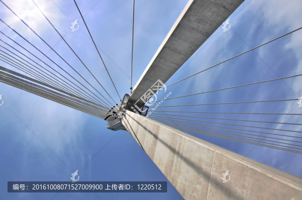 陽(yáng)光懸索橋。