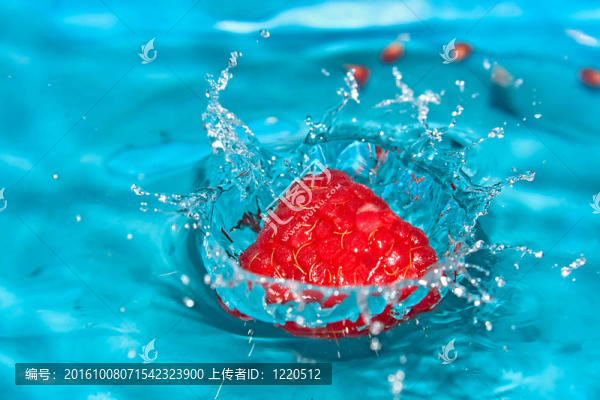 新鮮。濕木莓。