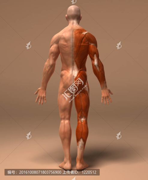 解剖