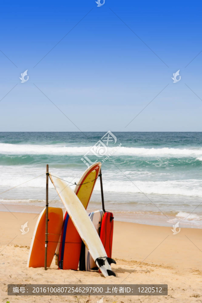 沖浪板。