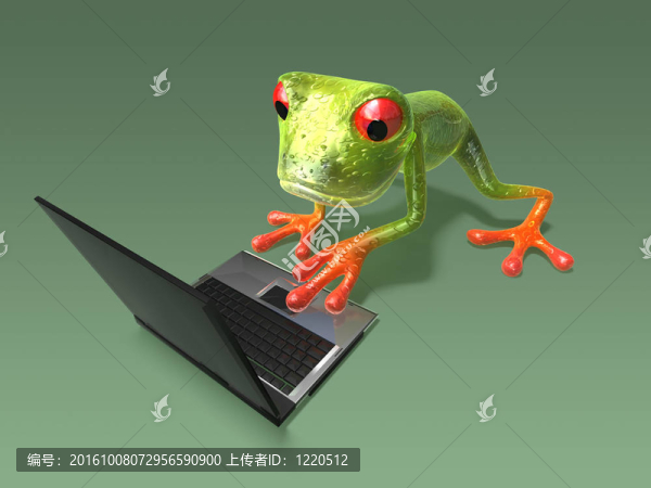 青蛙