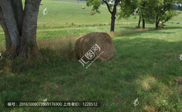 草料場(chǎng)