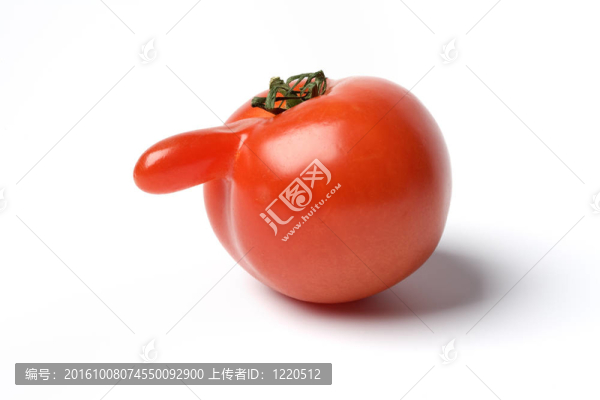 在白色背景上有大鼻子的西紅柿的肖像