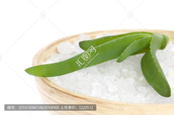 蘆薈