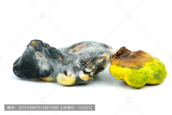 腐爛的蔬菜