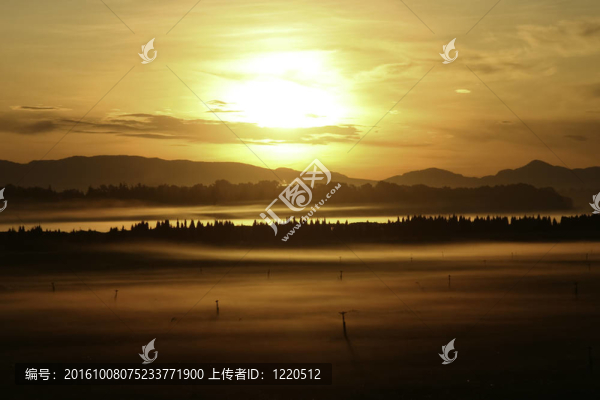 田野上的日出
