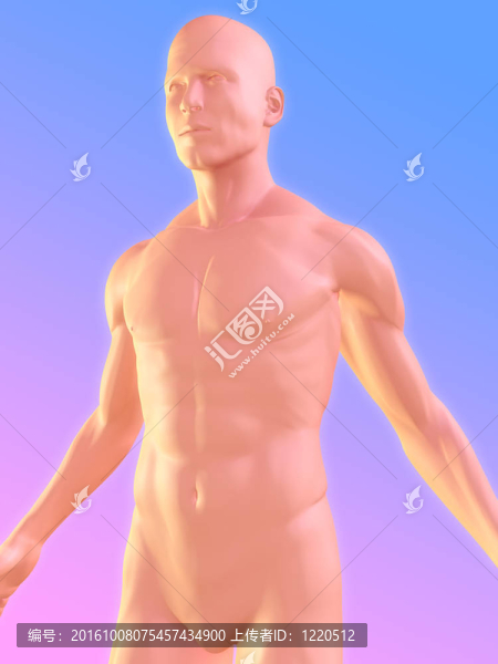 上身