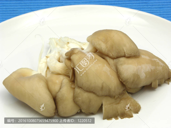 平菇在白色陶瓷板