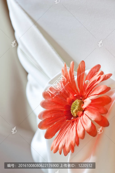 座背特寫一個(gè)婚禮覆蓋