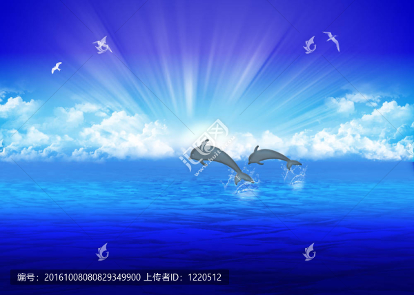海