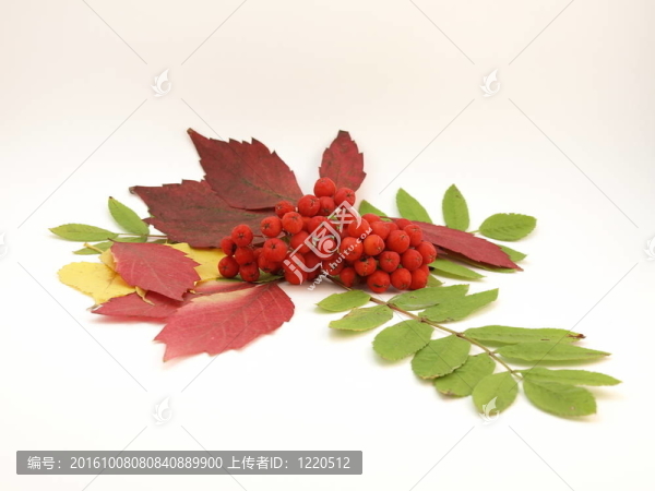 紅色圖片