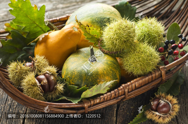 南瓜