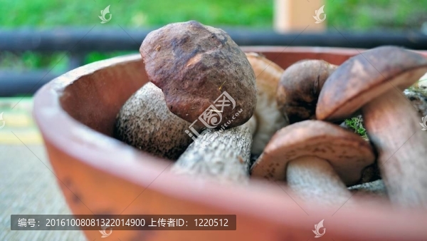 碗里的蘑菇