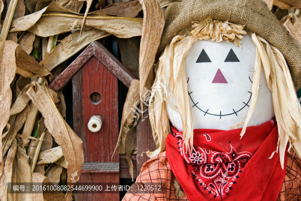 Scarecrow先生