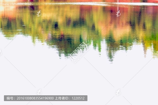 水中漣漪的倒影