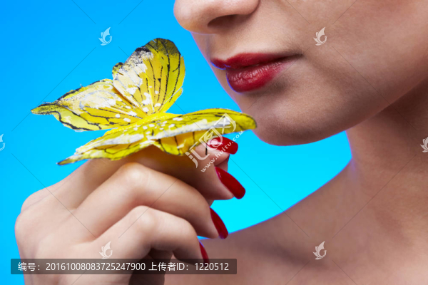 模型buterflies