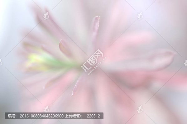 粉紅