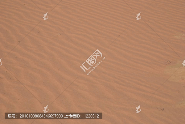沙紋