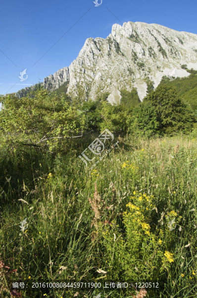 巖石山
