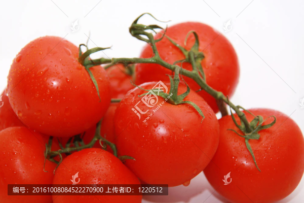 番茄